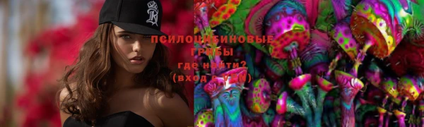 винт Балахна