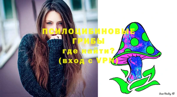 винт Балахна