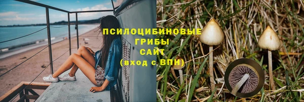тгк Баксан